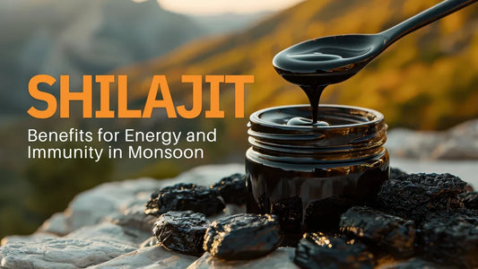 Shilajit Benefits for Energy and Immunity in Monsoon