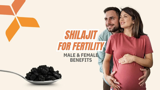 Shilajit for Fertility