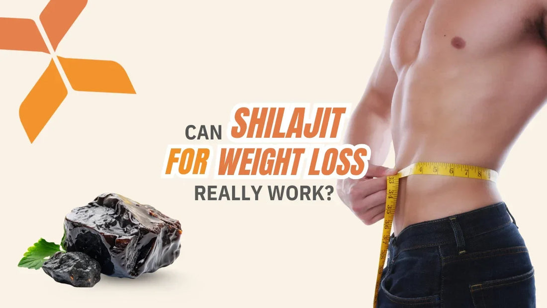 Shilajit for Weight Loss