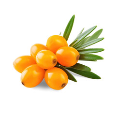 Sea Buckthorn Pulp