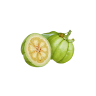 Garcinia
