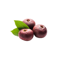 Kokum 