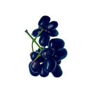 Jamun